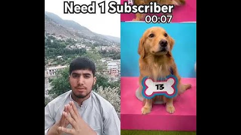 Vind je hond en win $ 10.000