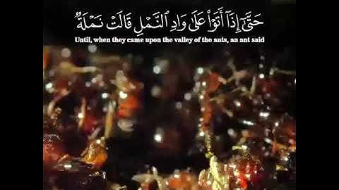 ما تيسر من سورة النمل للشيخ أنس الجهني