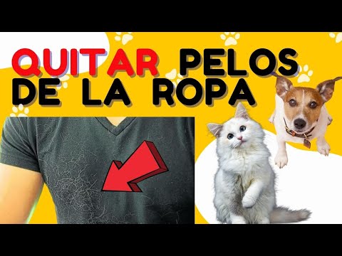 Cómo quitar pelos de la ropa en la lavadora