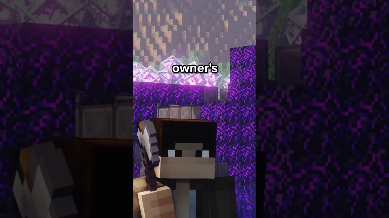 When The Owner S Bro Joins SMP Minecraft Minecraftserver Minecraftsurvival Minecraftsmp