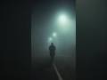 El Camino Donde la Gente Dice ver Fantasmas en la Niebla #leyendas #terrory #fantasmas #historia