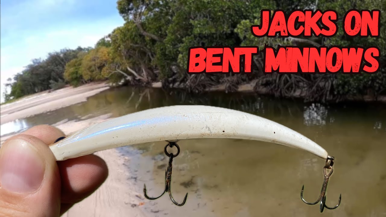 Top water MANGROVE JACKS land based!