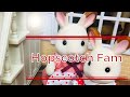 Calico Critters Hopscotch fam Vlog EP 2: School and Soccer