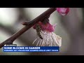 Some crop harvests in danger as Central Valley braces for storms