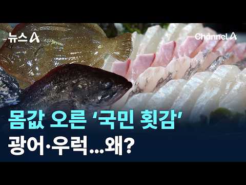 Why Are ‘National Favorite’ Sashimi Fish Like Flounder and Rockfish So Expensive? / Channel A / N...