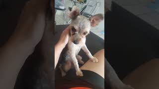 18 de dezembro de 2025