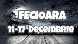 FECIOARA - Saptamana 11-17 Decembrie