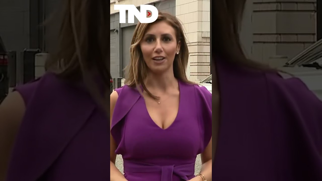 Donald Trump’s attorney Alina Habba addressed the media as her client arrived in D.C.