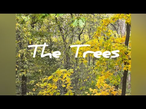 The Trees - YouTube
