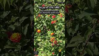 SWE Lancer benchmark: Upwork. AI brain decoder: thoughts. DeepSeek: financial sector profit 13%+ UBS