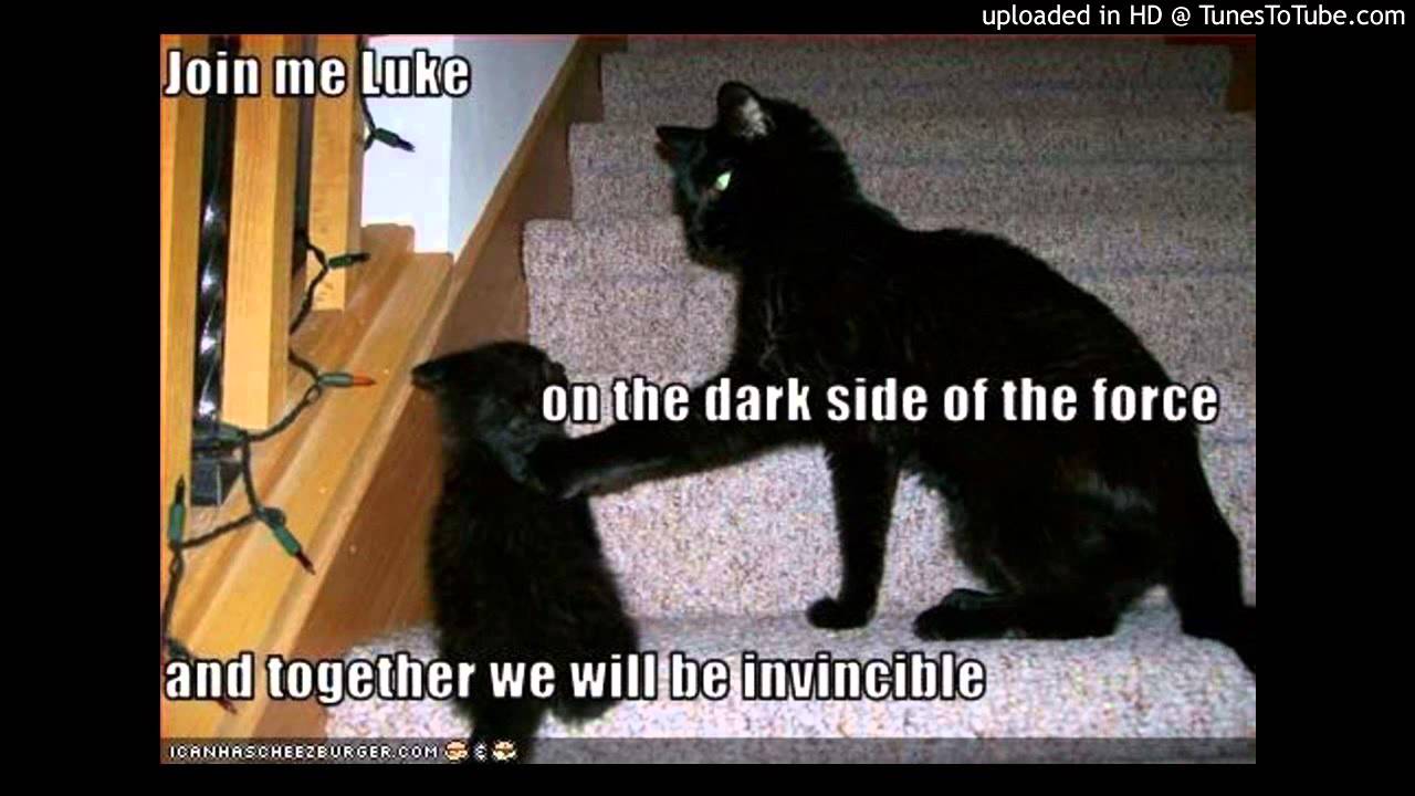 Watch Kopfnikker - Together Dark ( Original Mix ) on YouTube Watch Kopfnikker - Together Dark ( Original Mix ) on YouTube