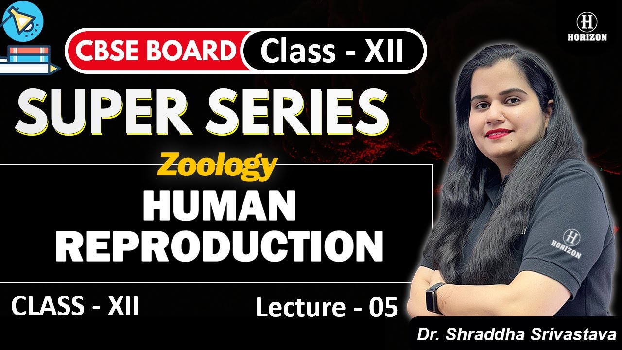 Human Reproduction Lecture 5 || Neet || || Zoology || Dr Shraddha Srivastava || Horizon Academy