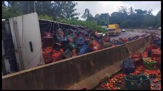 Caminhão carregado de tomate tomba na BR 277 em Matelândia