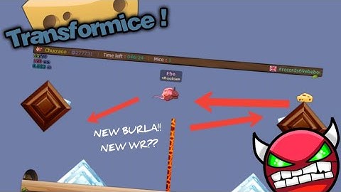 Transformice - World Records #3 Ebe & Naxis [EPIC]