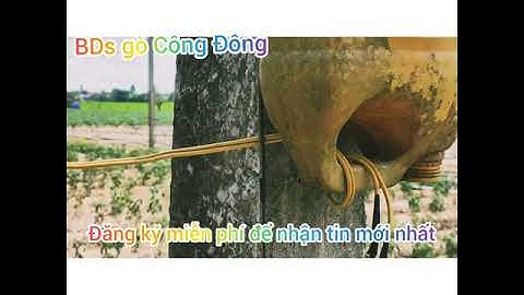 VT, ấp sớm gò, xã Tân Hòa, quyện go cong dong, tỉnh tiền giang,