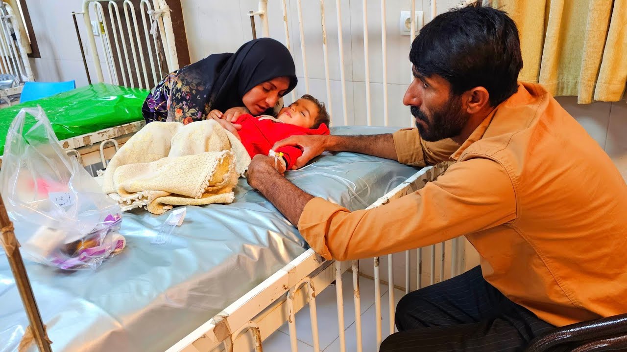 Exploring the Kuch Family's Daily Nomadic Lifestyle: Tradition, Adaptation, and Harmony