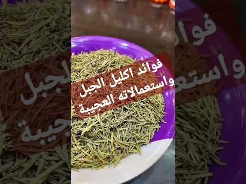اكليل الجبل كنز العرب