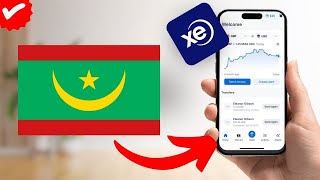 Xe पर मॉरिटानिया को पैसे कैसे भेजें? screenshot 5