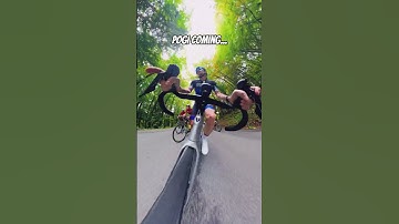 POGI CHALLENGE 2025 | Trying to Stay on Pogacar’s Wheel 😅🔥