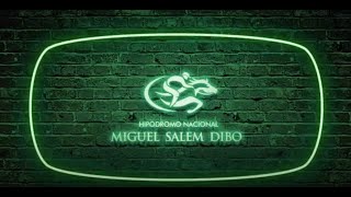 EN VIVO  Hipódromo Miguel Salen  Dibo 15  / Noviembre /2025