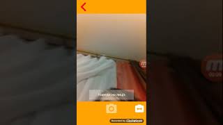Сканер лица какое ты животное screenshot 5
