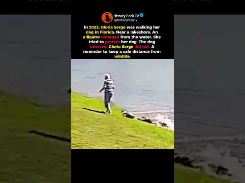Woman Tries to Save Her Dog From an Alligator🐊🛑