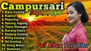Cdanursari Cokek Sragenan Bass Glerr Paling Gayeng 