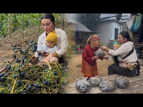 Into the Forest: A Single Mother Harvests Palm Fruit to Raise Her Child ...