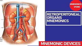 RETROPERITONEAL ORGANS MNEMONICS | EASY WAY TO REMEMBER ANATOMY