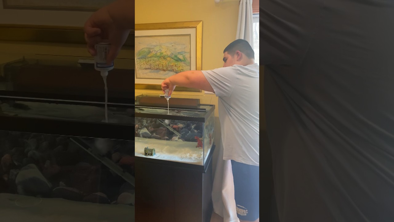 Adding extra bacteria | Creating a 40 gallon breeder fish tank | Day 4