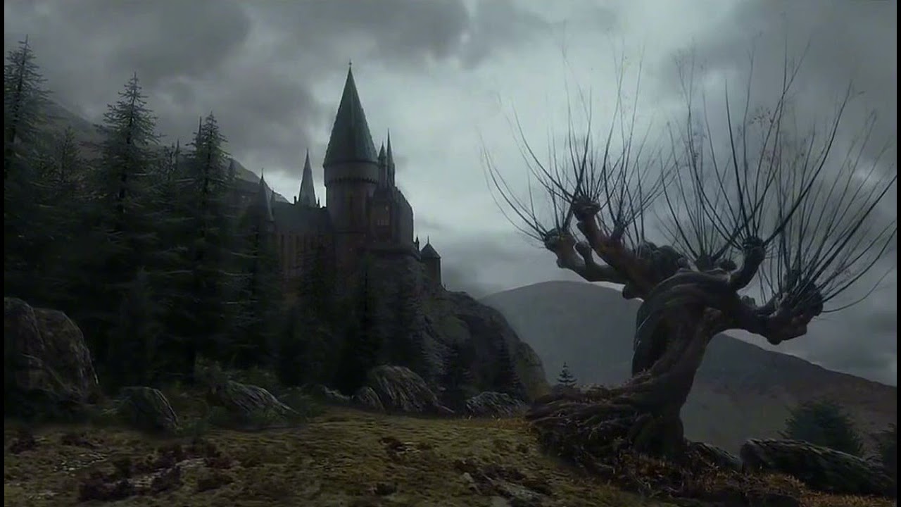 forest hp background noise