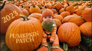 Pumpkin Patch Vlog | Days In Our Life With Our 5 Month Old & Starting Solids!