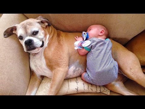 Cutest Babies And Dogs Doing Crazy Things Together #4 | Cute babies Compilation