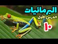 خصائص البرمائيات وطرق التغذية الدرس الاول عاشر 