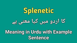 Meaning of splenetic in urdu/hindi || Splenetic ka kia matlab ha