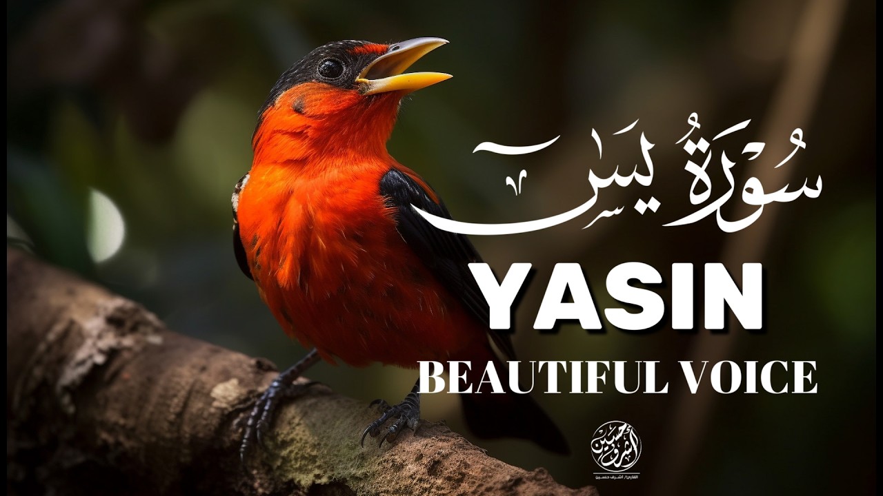 Surah Yasin (Yaseen) for Healing | Relieve Stress, Depression & Anxiety | سورة يس | #surahyaseen