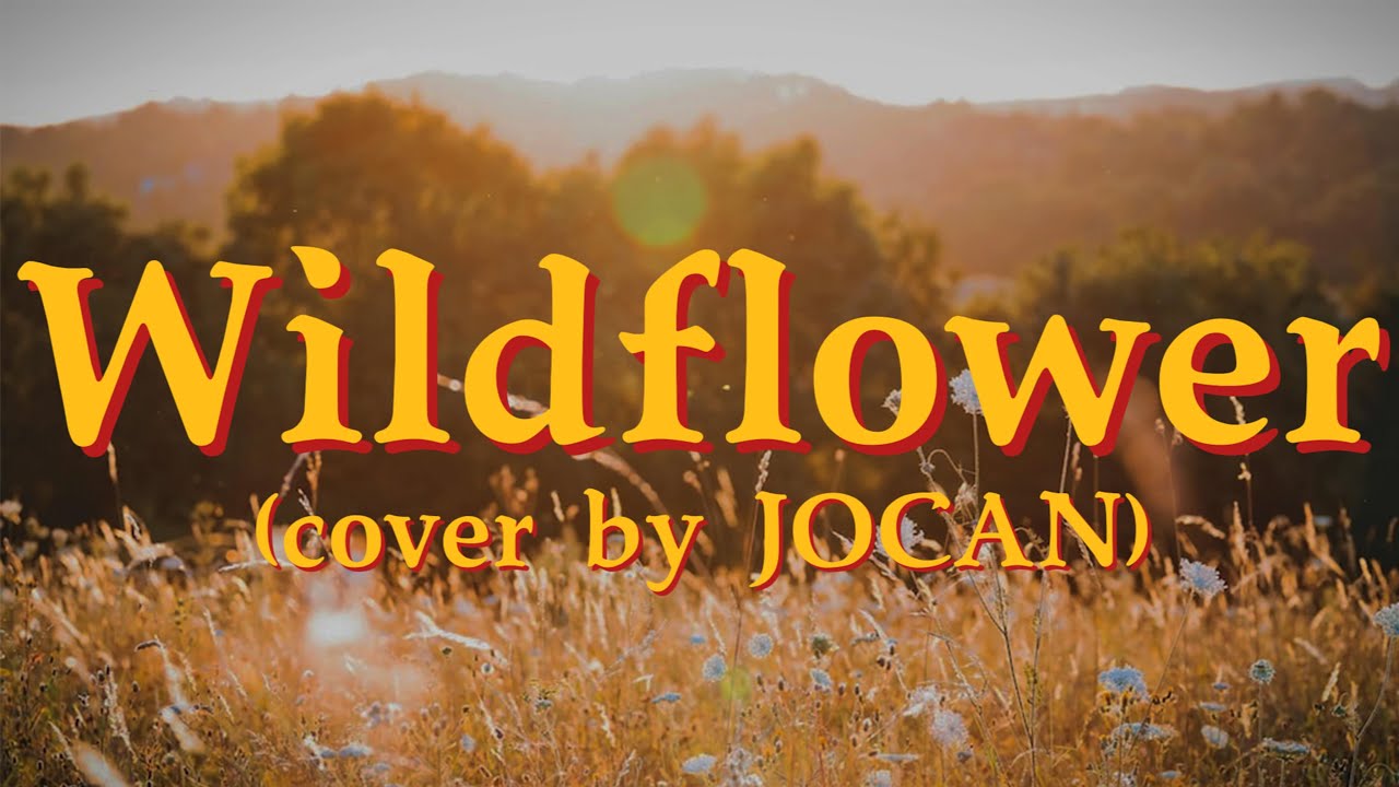Wildflower Skylark (cover by JOCAN) YouTube