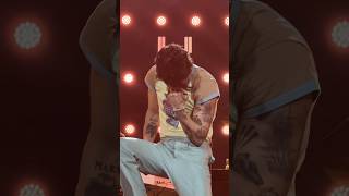 Love On Tour - Perth (20 February 2023) #harrystyles #harrystylesedit Credit: cathryn.mcilroy 💛
