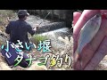 小さい堰で小物釣り。タナゴ3種類、全部で6種類。入れ食い大漁！タナゴ釣り。　小物釣り91。いい場所ポイントを釣り歩き。 Lake BIWA River Fishing