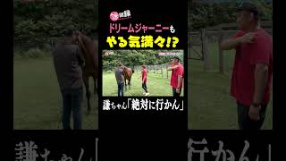 ドリームジャーニーもやる気満々⁉︎ #謙聞録 #netkeiba で配信中 #池添謙一 #ドリームジャーニー