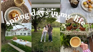 DAYS IN MY LIFE | Spring picnic, thrifting haul, & film camera tips!