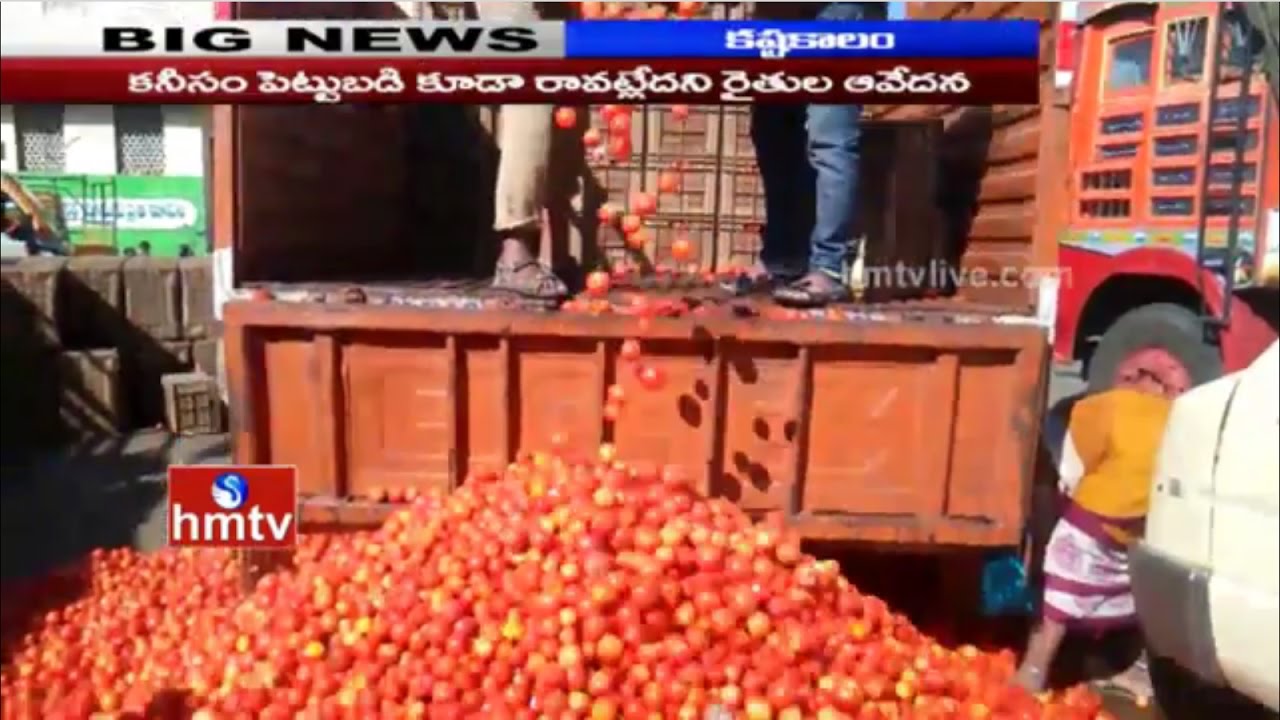 Tomato Farmers In Deep Trouble | Tomatoes Throwing On Road | Currency Ban Effect | HMTV