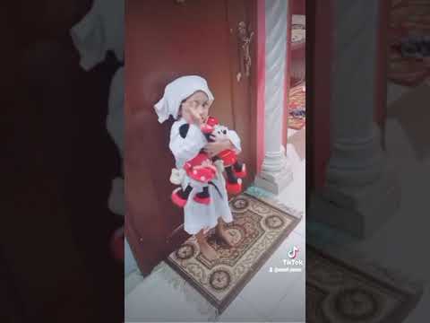 محمد منير
