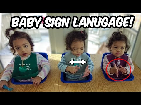 Learn Baby Sign Language with our Triplets!