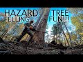 Hazard Tree Felling! My Last Day with August Hunicke.