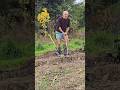 Crumbling Turfs #landscaping #permaculture #fitnessmotivation #mud #exercise #adventure #ideas #wow