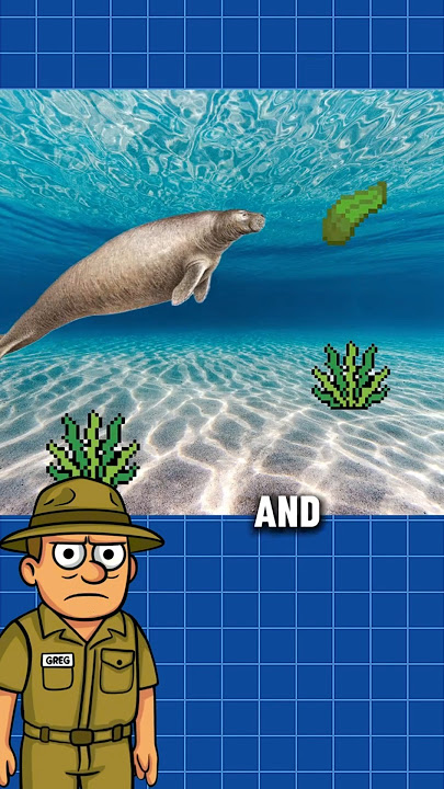 How Steller's Sea Cow Went Extinct in Just 27 Years