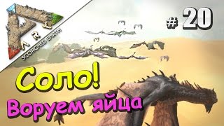 ARK Survival Evolved Scorched Earth (20) Испытываем Виверну, воруем яйца! ARK Survival Evolved Scorched Earth (20) Испытываем Виверну, воруем яйца!