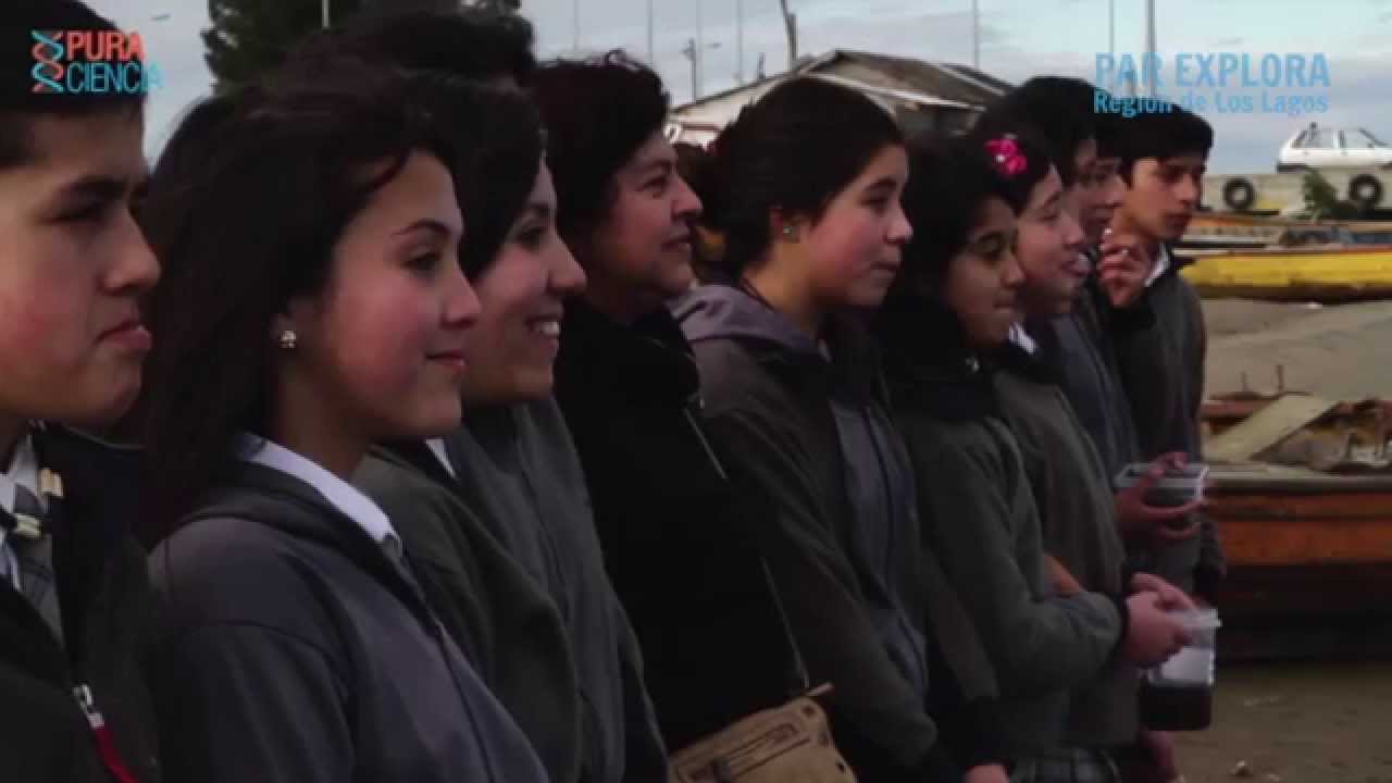 Una Mirada al 2014 - PAR EXPLORA Los Lagos