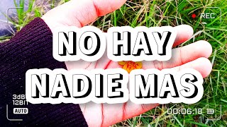 No Hay Nadie Más - En Vivo | Trigo